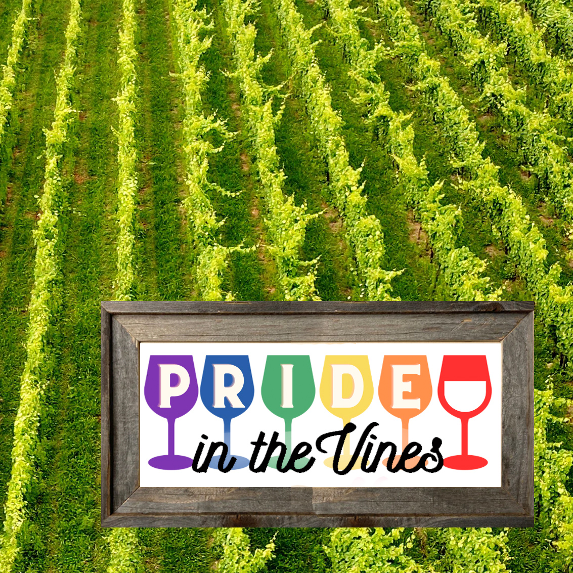 pride in the vines